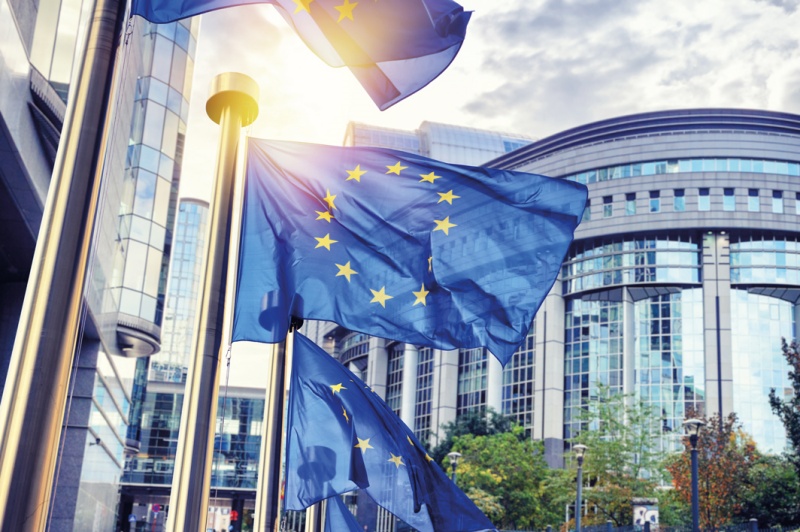 EP Committees on Sustainable Europe Investment Plan